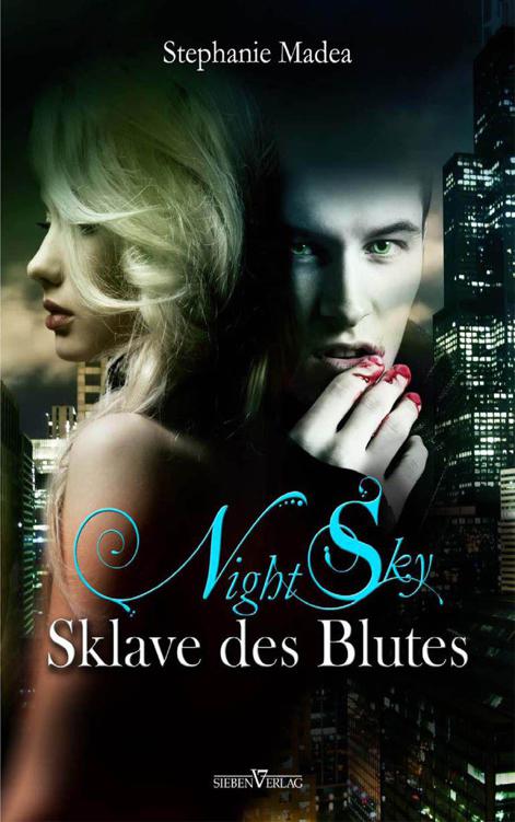 Night Sky 1 - Sklave des Blutes (German Edition)