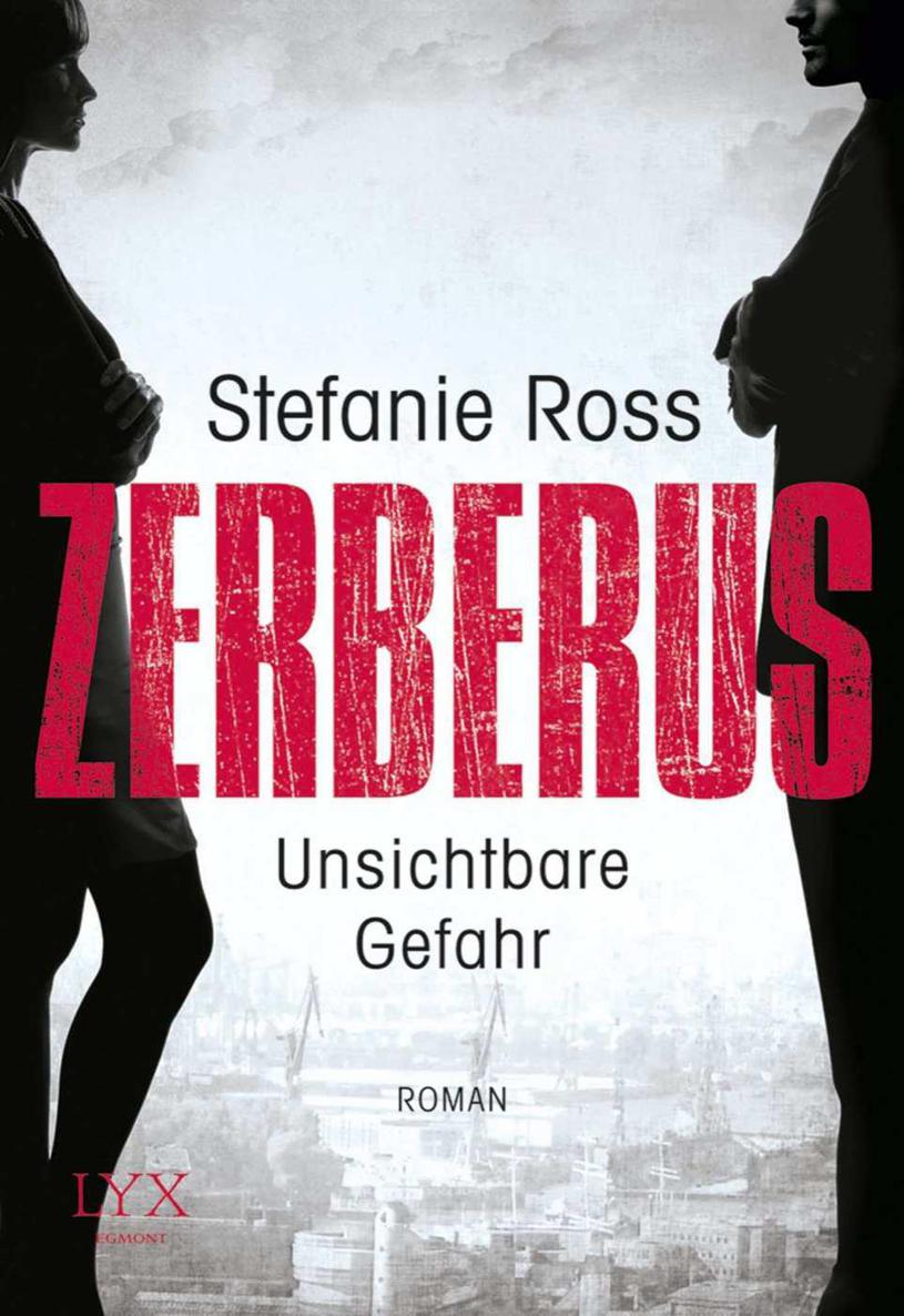 Zerberus - Unsichtbare Gefahr (German Edition)