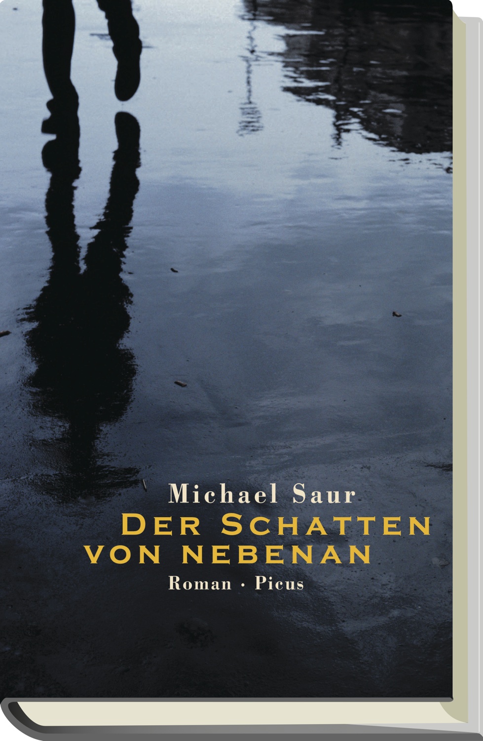 Der Schatten von nebenan - Roman