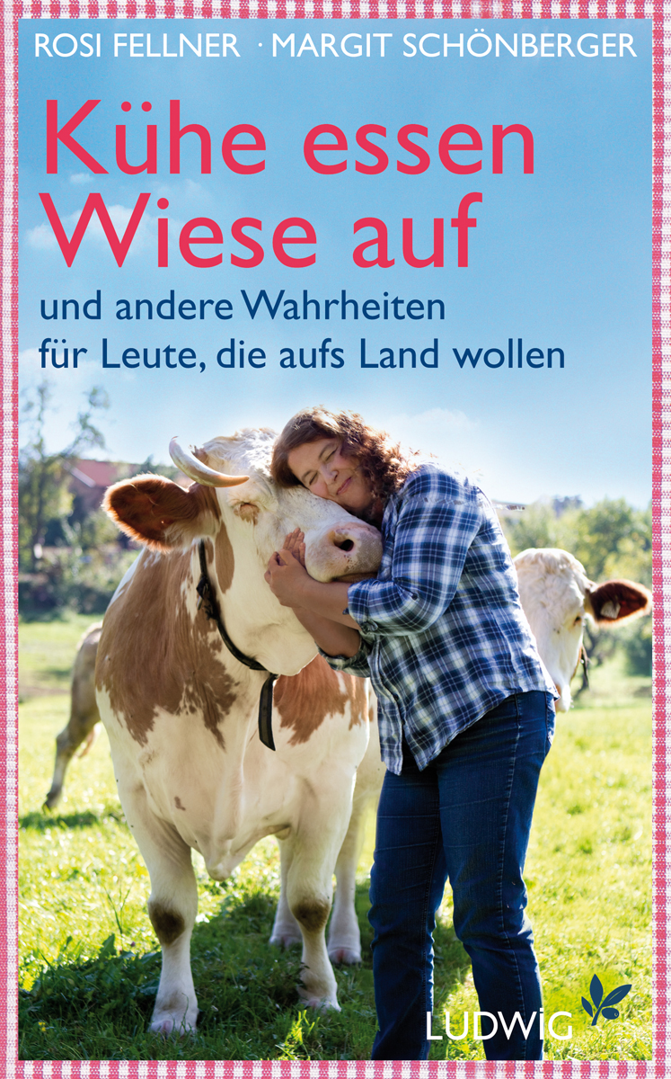 Kuehe essen Wiese auf