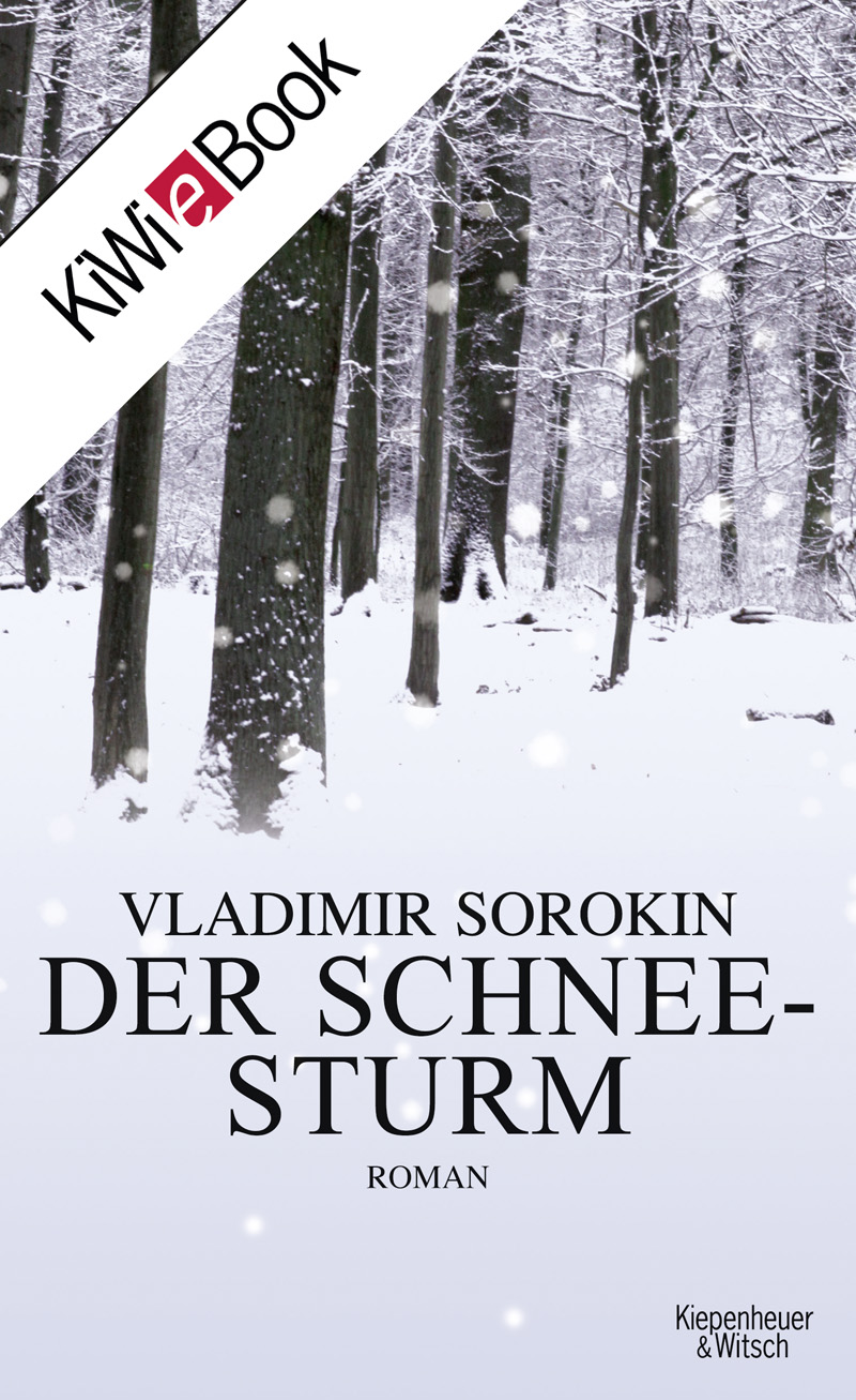 Der Schneesturm