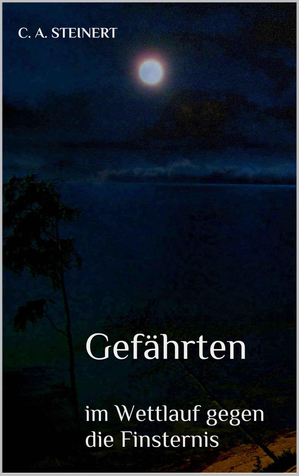 Gefährten - im Wettlauf gegen die Finsternis (German Edition)