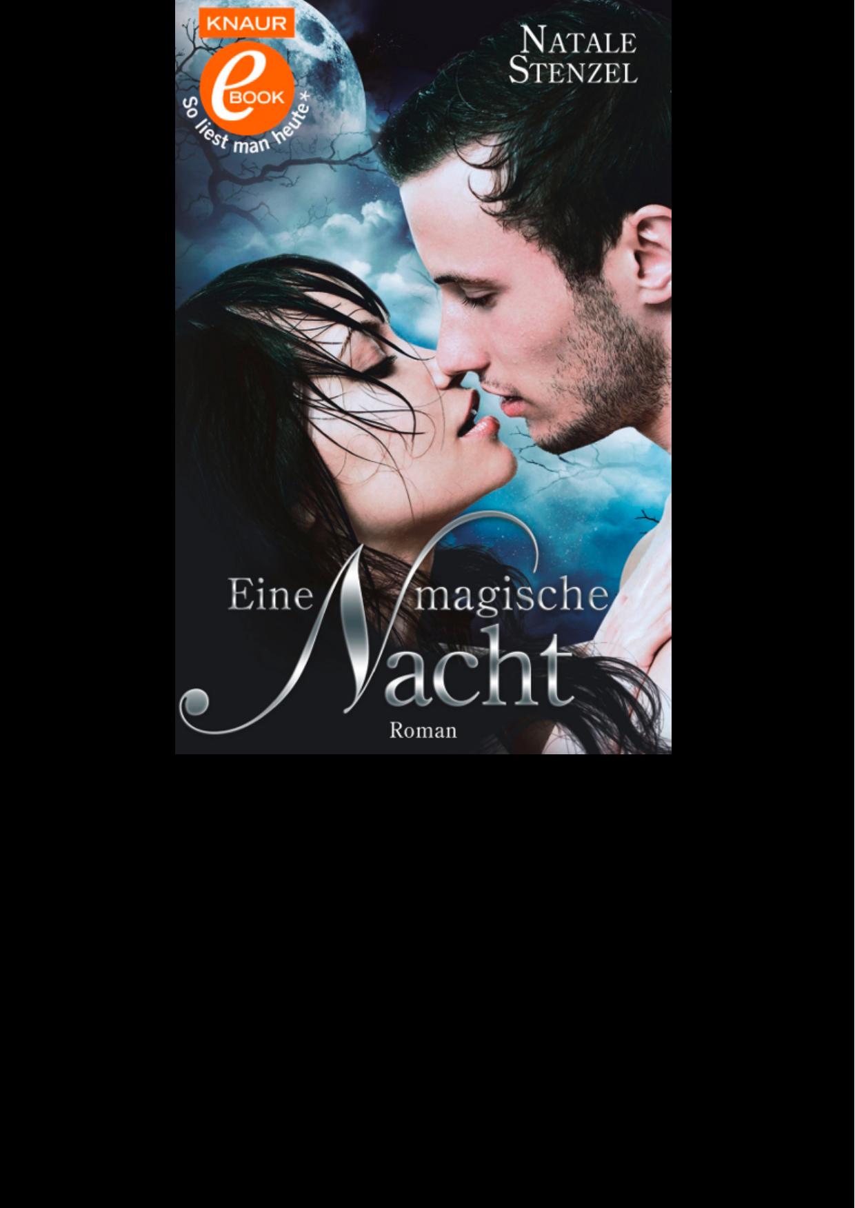 Eine magische Nacht. Roman