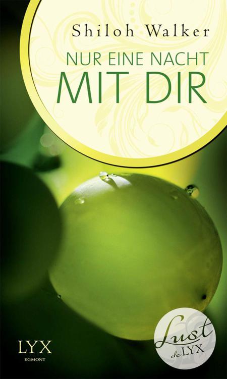 Lust de LYX - Nur eine Nacht mit dir (German Edition)