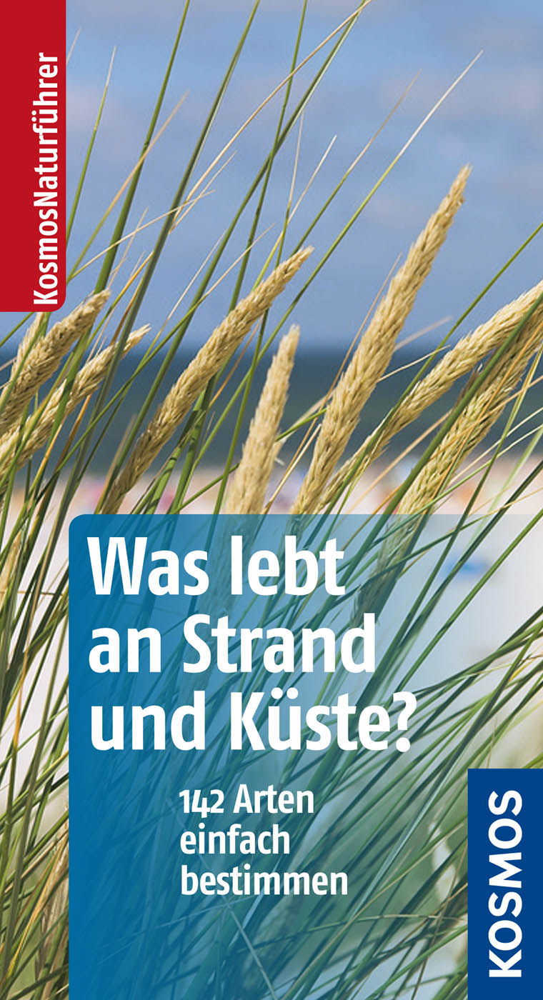 Was lebt an Strand und Kueste