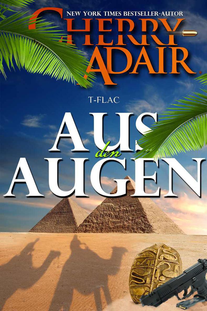 Aus den Augen (T-FLAC) (German Edition)