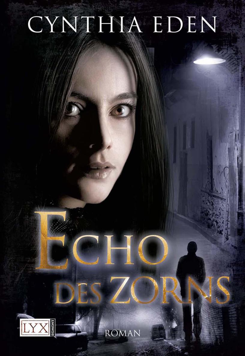 Echo des Zorns (German Edition)