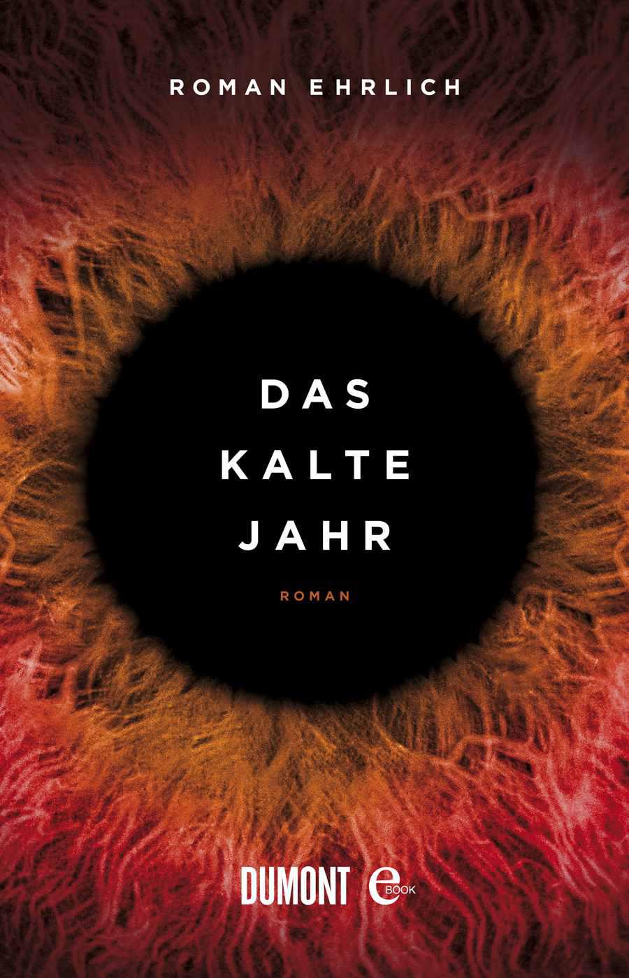 Das kalte Jahr: Roman (German Edition)