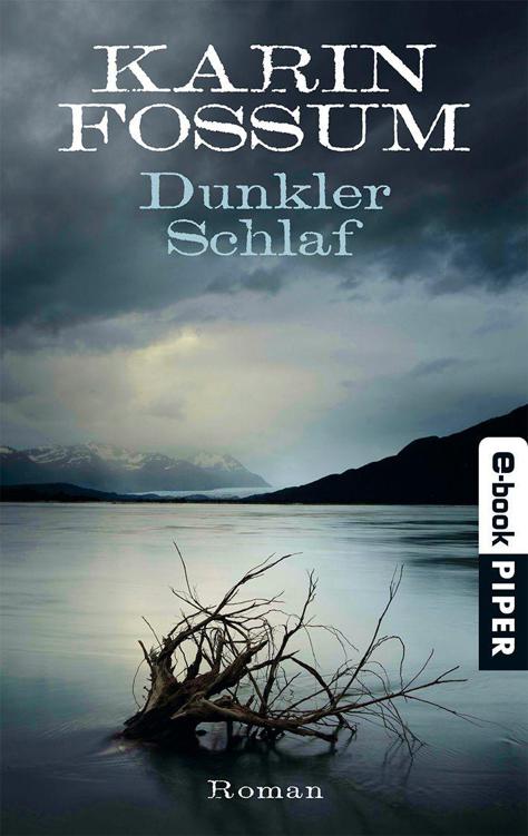 Dunkler Schlaf: Roman (German Edition)