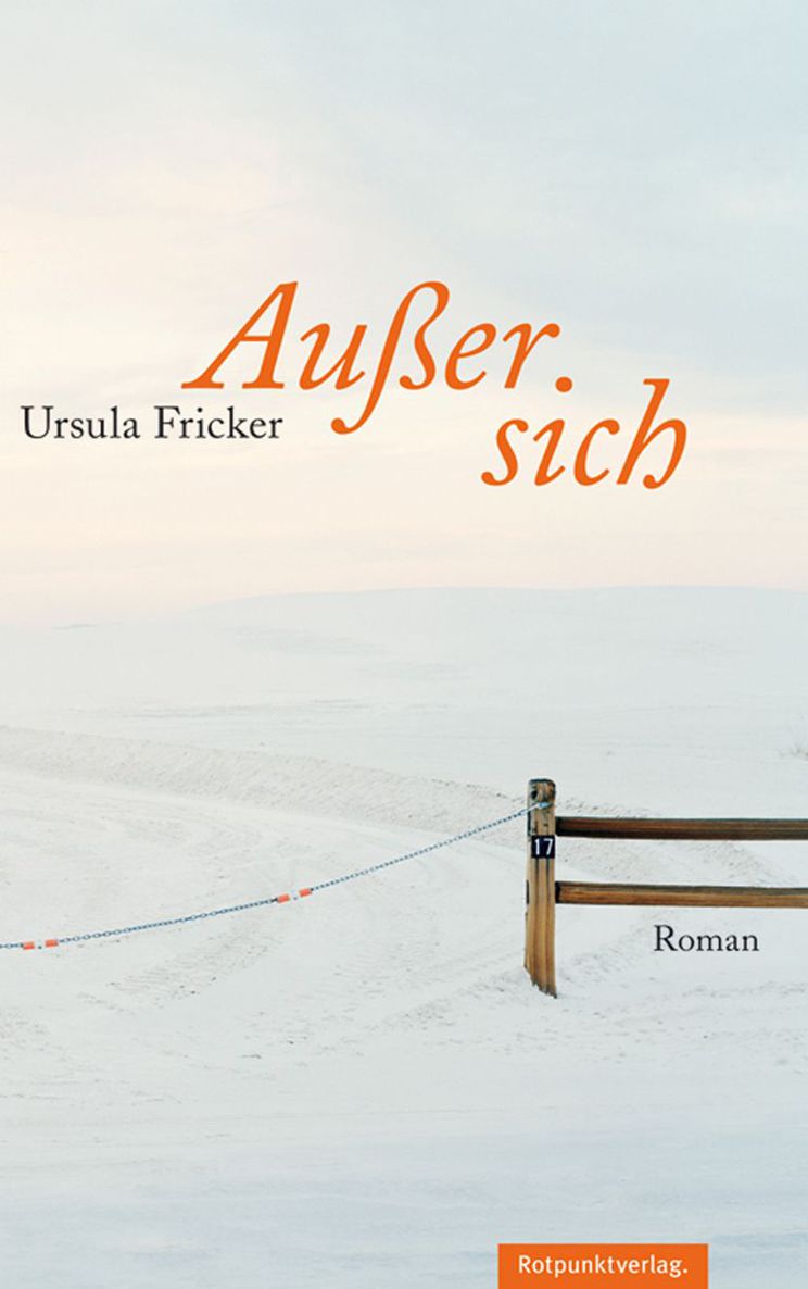 Außer sich: Roman (German Edition)