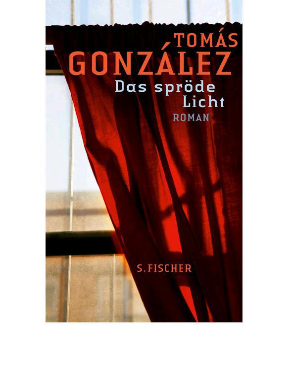 Das spröde Licht: Roman (German Edition)