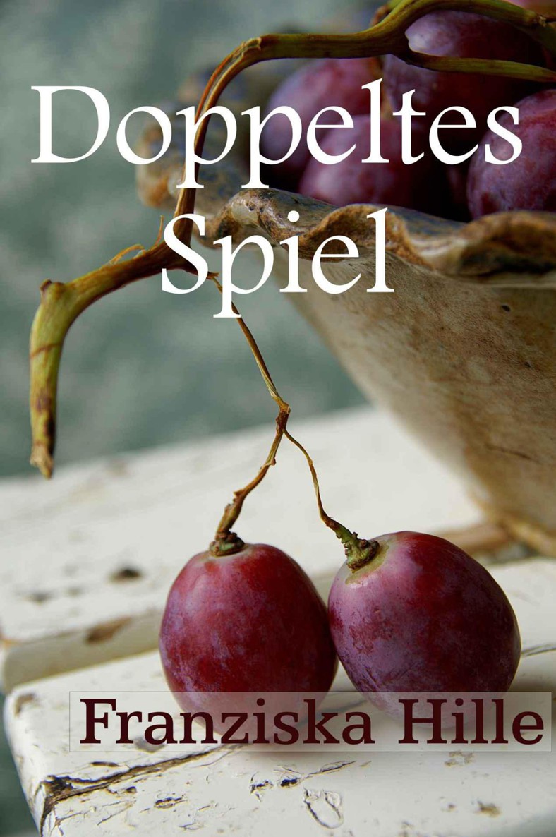 Doppeltes Spiel (German Edition)