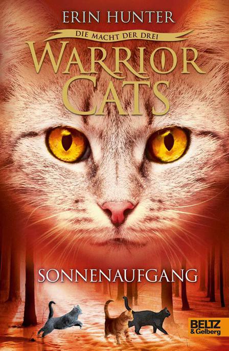 Warrior Cats - Die Macht der drei. Sonnenaufgang: III, Band 6 (German Edition)