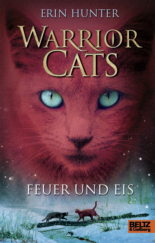 Warrior Cats 2. Feuer und Eis