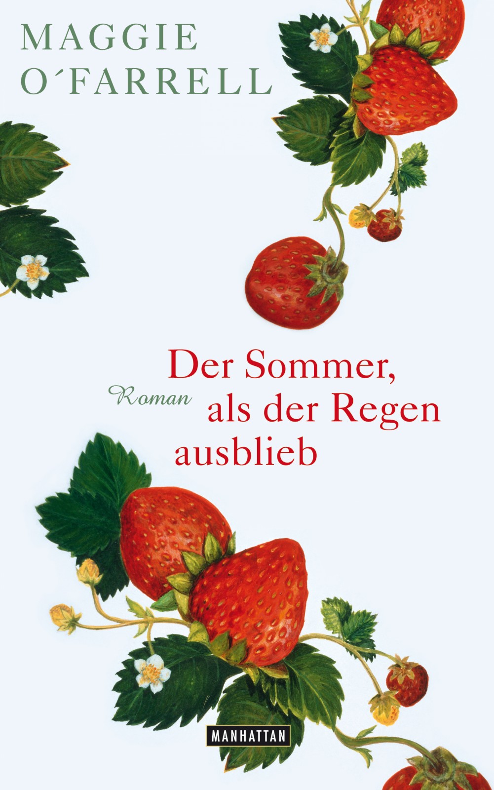 Der Sommer, als der Regen ausblieb - Roman