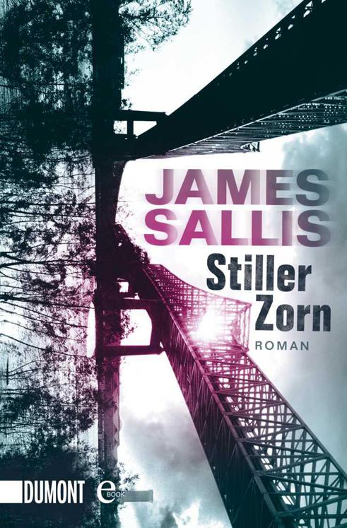 Stiller Zorn: Roman (German Edition)
