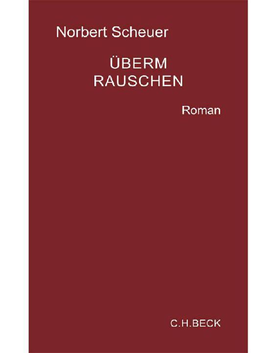 Überm Rauschen: Roman (German Edition)