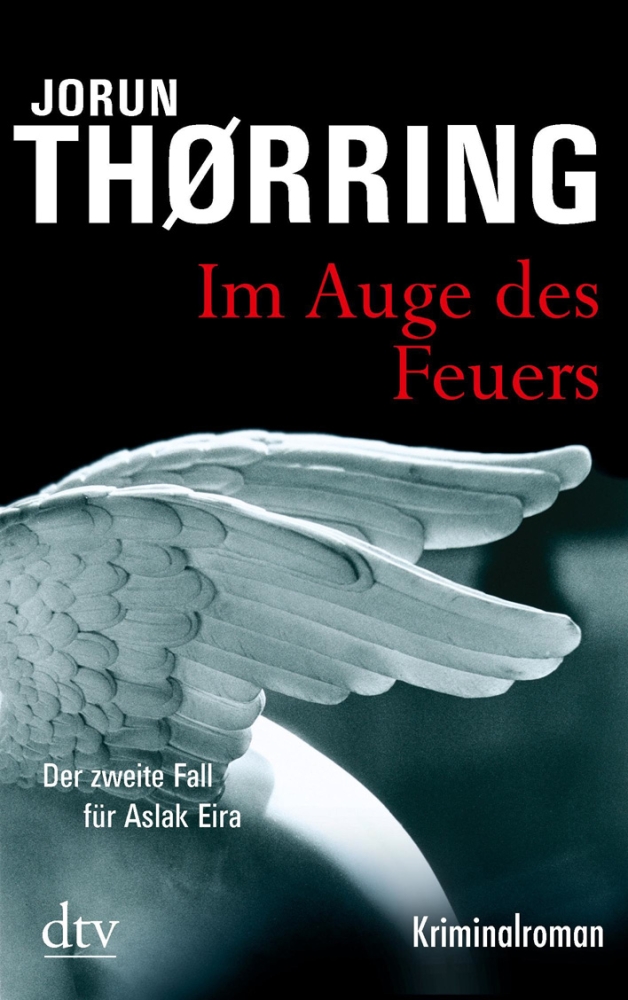 Im Auge des Feuers
