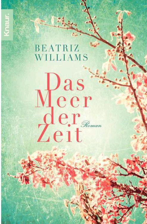Das Meer der Zeit: Roman (German Edition)