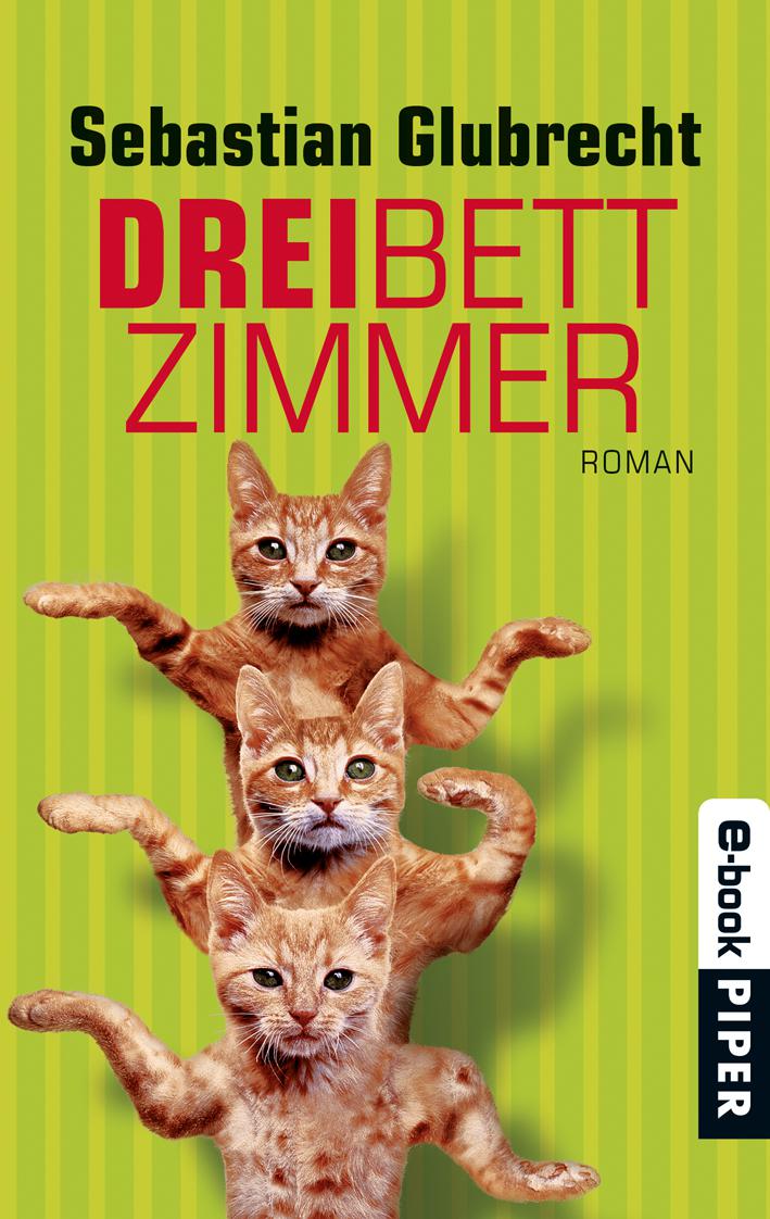 Dreibettzimmer: Roman (German Edition)