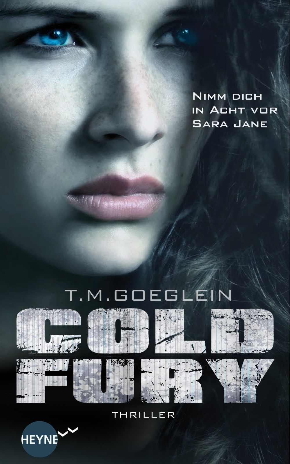 Cold Fury: Roman (Heyne fliegt) (German Edition)
