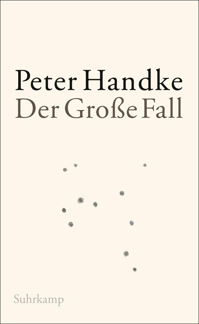 Der Große Fall (German Edition)