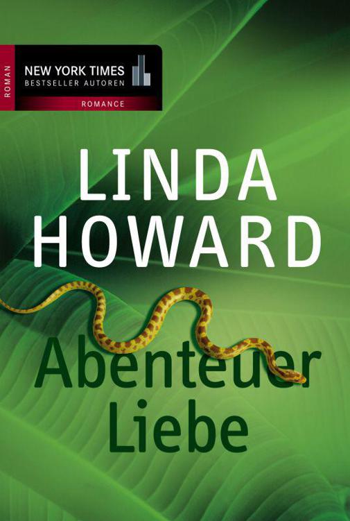 Abenteuer Liebe: Liebenächte in Mexiko / Gegen alle Regeln (German Edition)