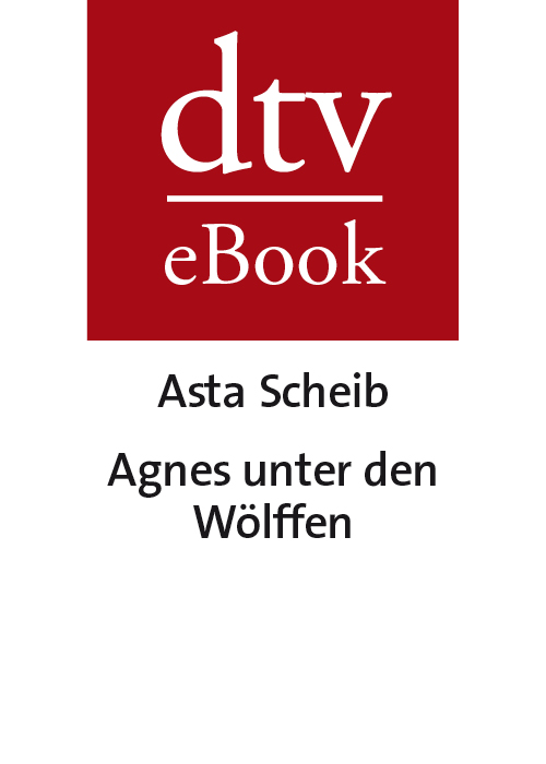 Scheib, Asta