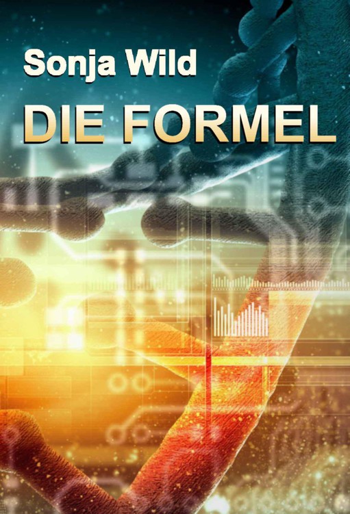 Die Formel (Ein Fall für Die Nachtfalken - Band 1) (German Edition)