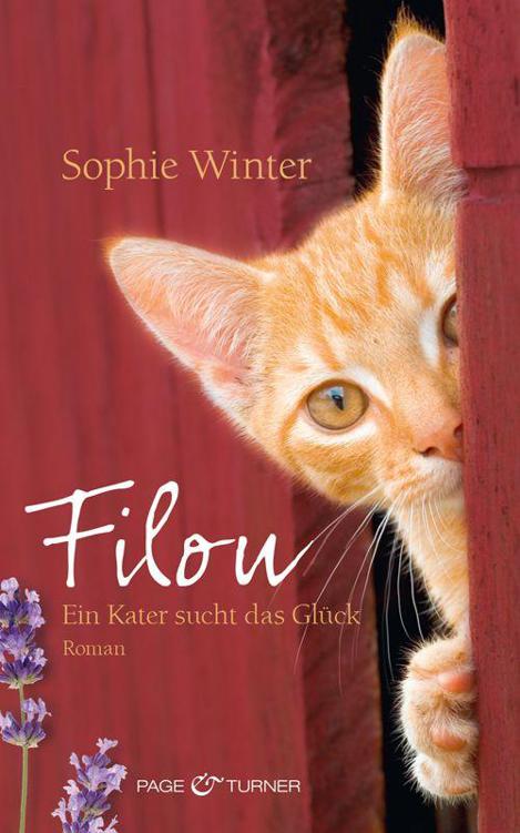 Filou: Ein Kater sucht das Glück - Roman (German Edition)