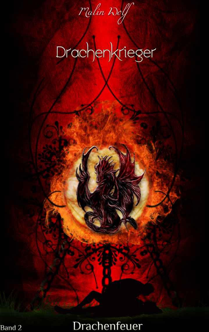 Drachenfeuer - Drachenkrieger Band 2 (German Edition)