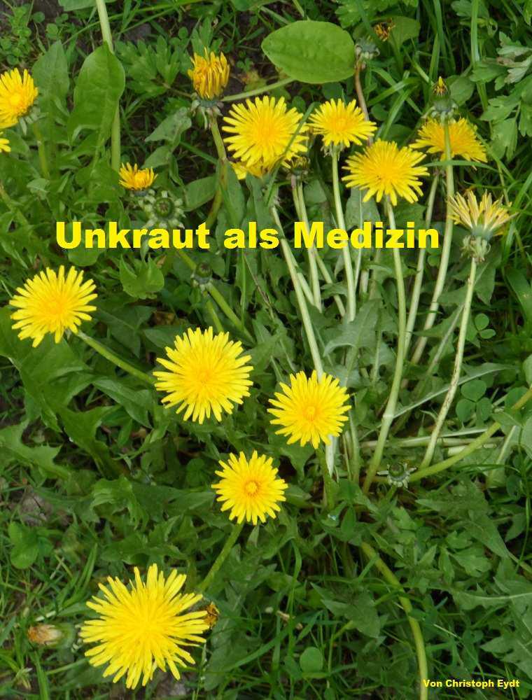 Unkraut als Medizin (German Edition)