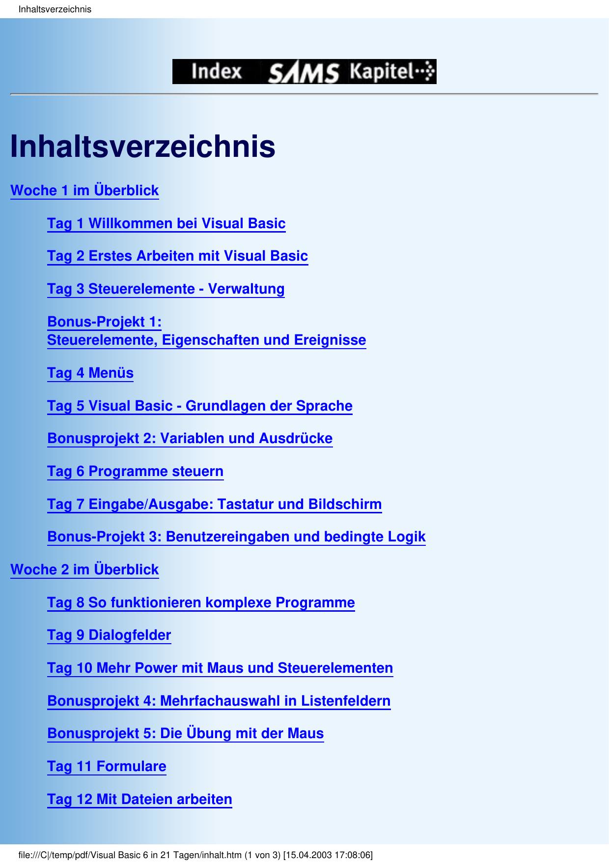 Visual Basic 6 in 21 Tagen