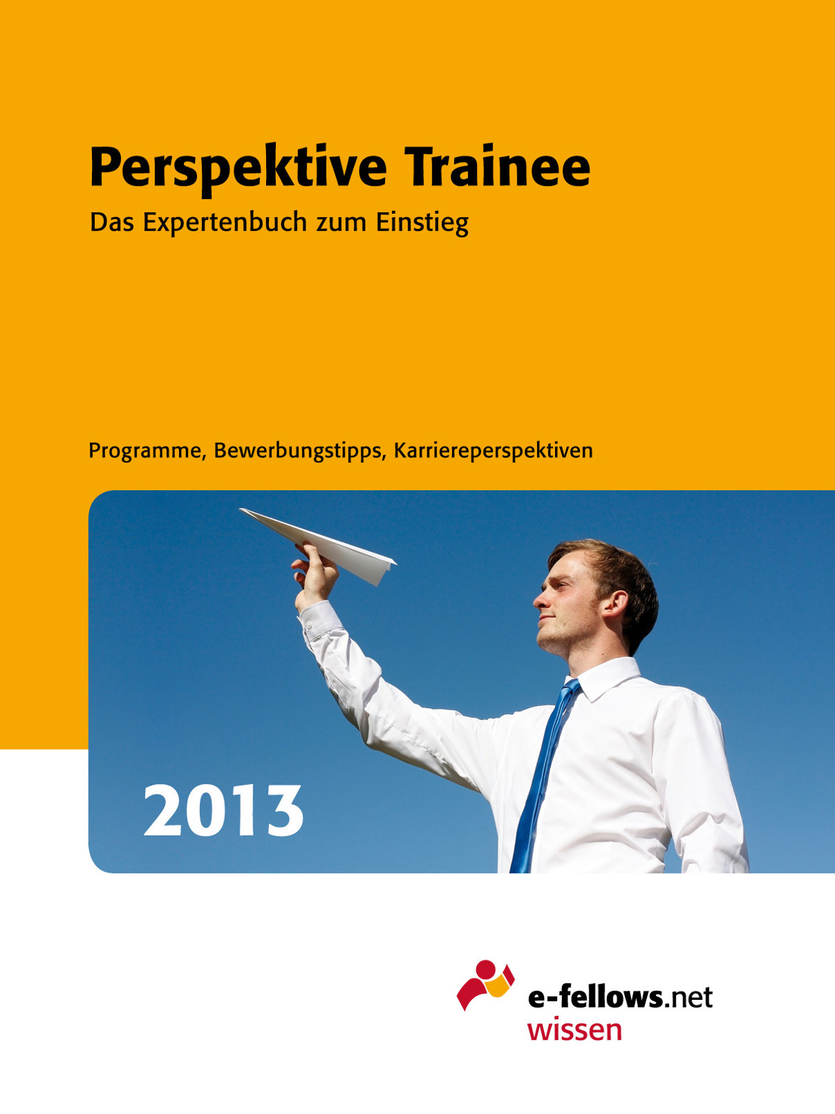 Perspektive Trainee 2013 - das Expertenbuch zum Einstieg