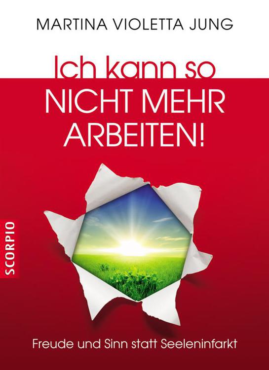 Ich kann so nicht mehr arbeiten!: Freude und Sinn statt Seeleninfarkt (German Edition)