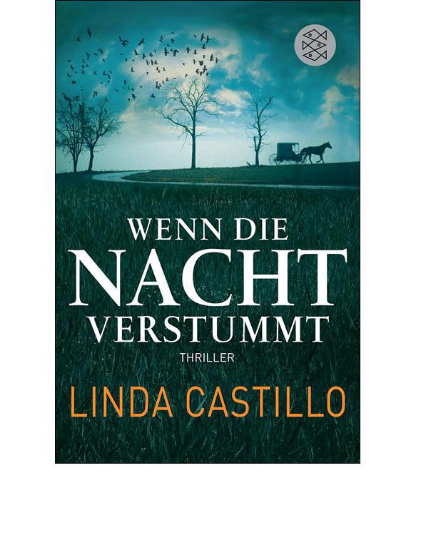 Castillo, Linda - Kate Burkholder 03