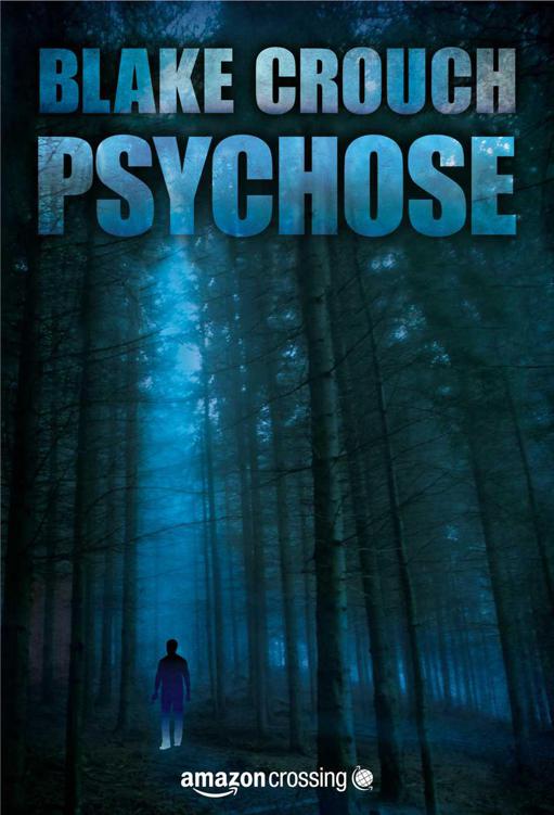 Psychose: Thriller (German Edition)