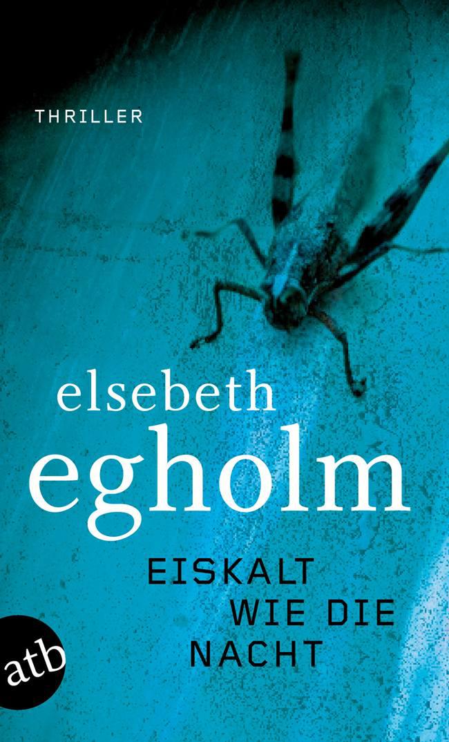 Eiskalt wie die Nacht: Thriller (Dicte Svendsen ermittelt) (German Edition)