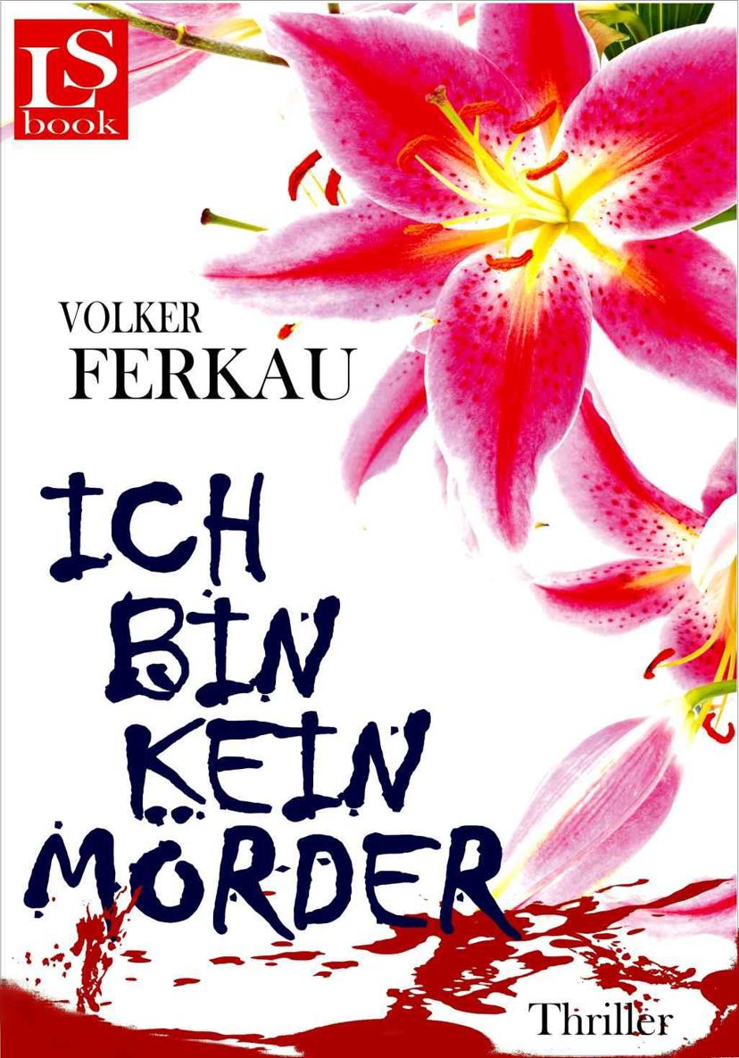 Ich bin kein Mörder: Thriller (Band 3 von 3 der "Mörder"-Trilogie)