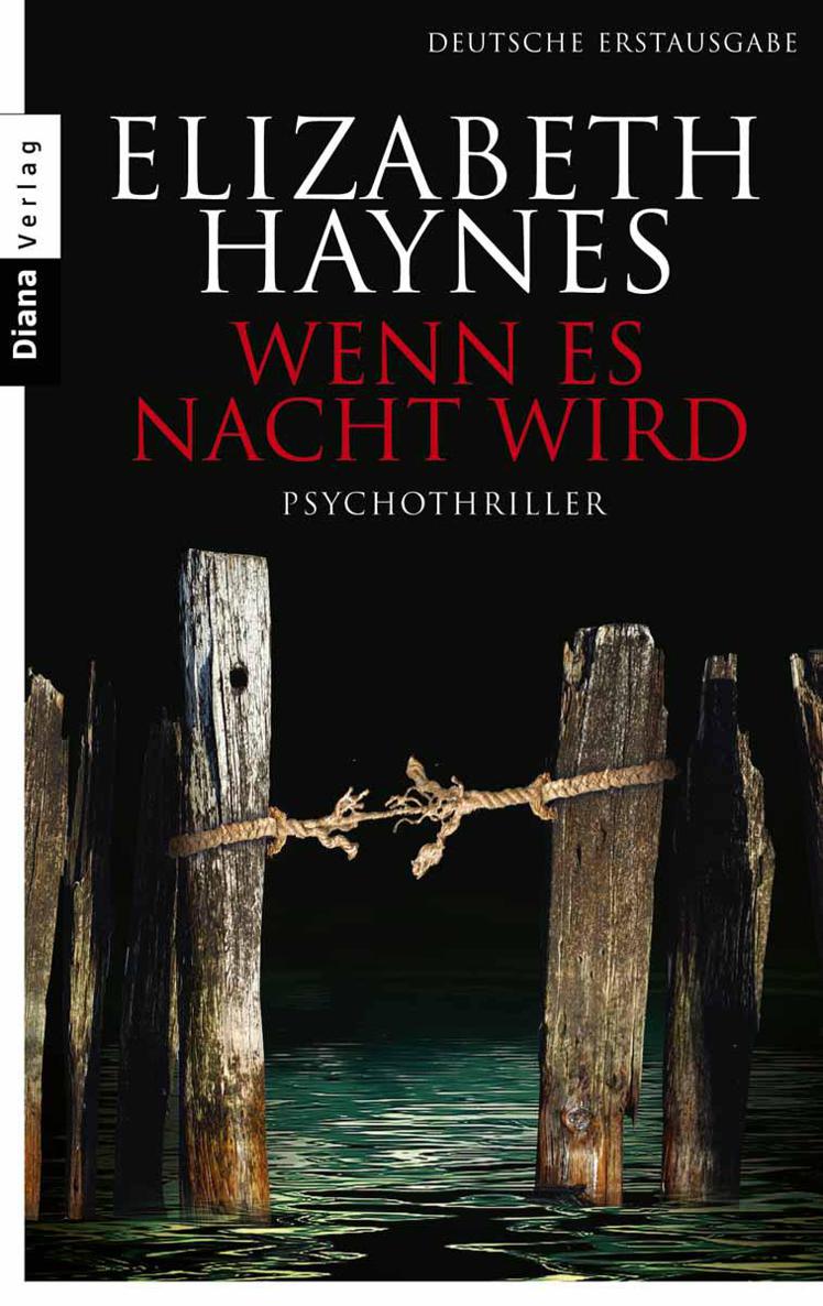 Wenn es Nacht wird: Psychothriller (German Edition)