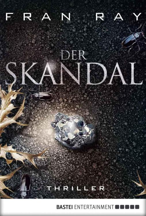 Der Skandal (German Edition)