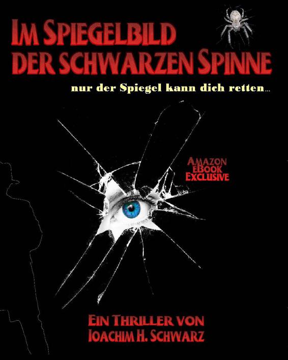 Im Spiegelbild der schwarzen Spinne (German Edition)