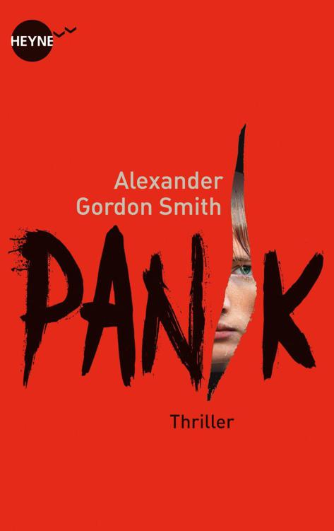 Panik: Thriller (German Edition)
