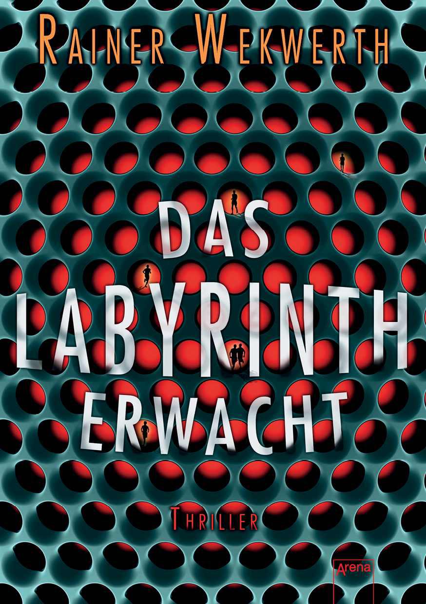 Das Labyrinth erwacht: Thriller (German Edition)