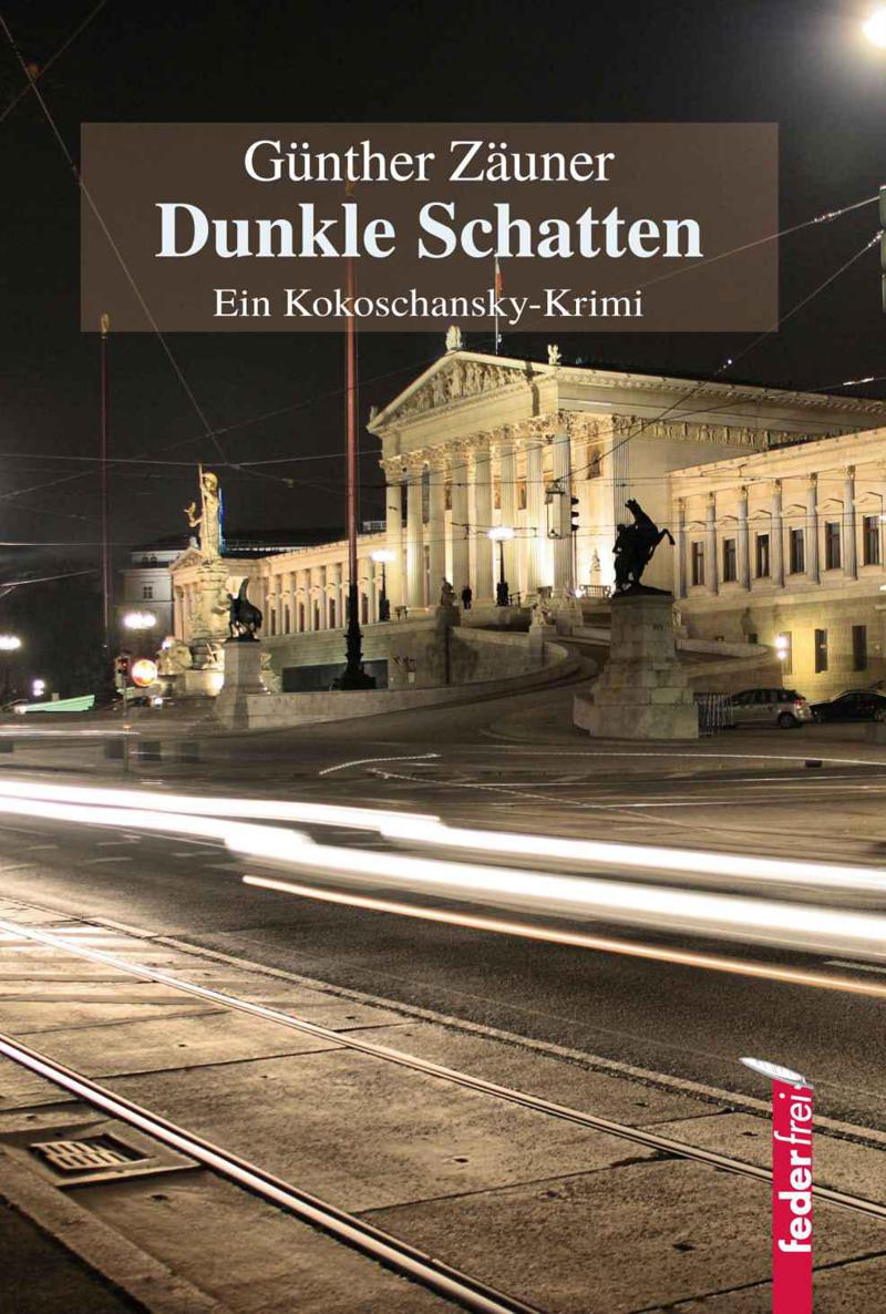Dunkle Schatten (German Edition)