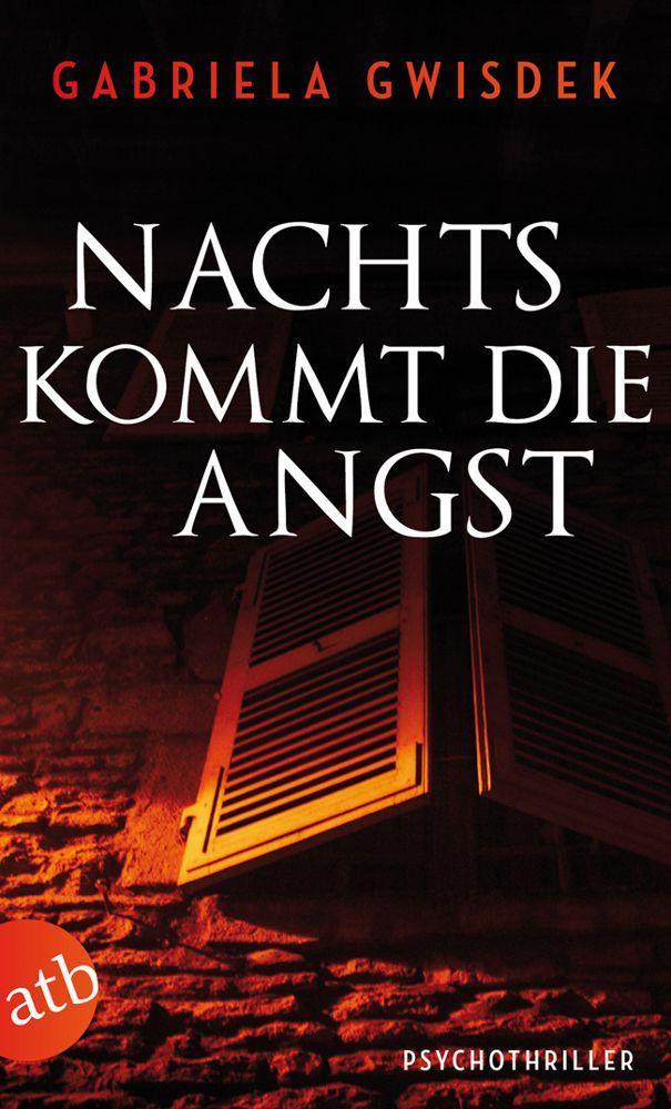 Nachts kommt die Angst: Psychothriller (German Edition)