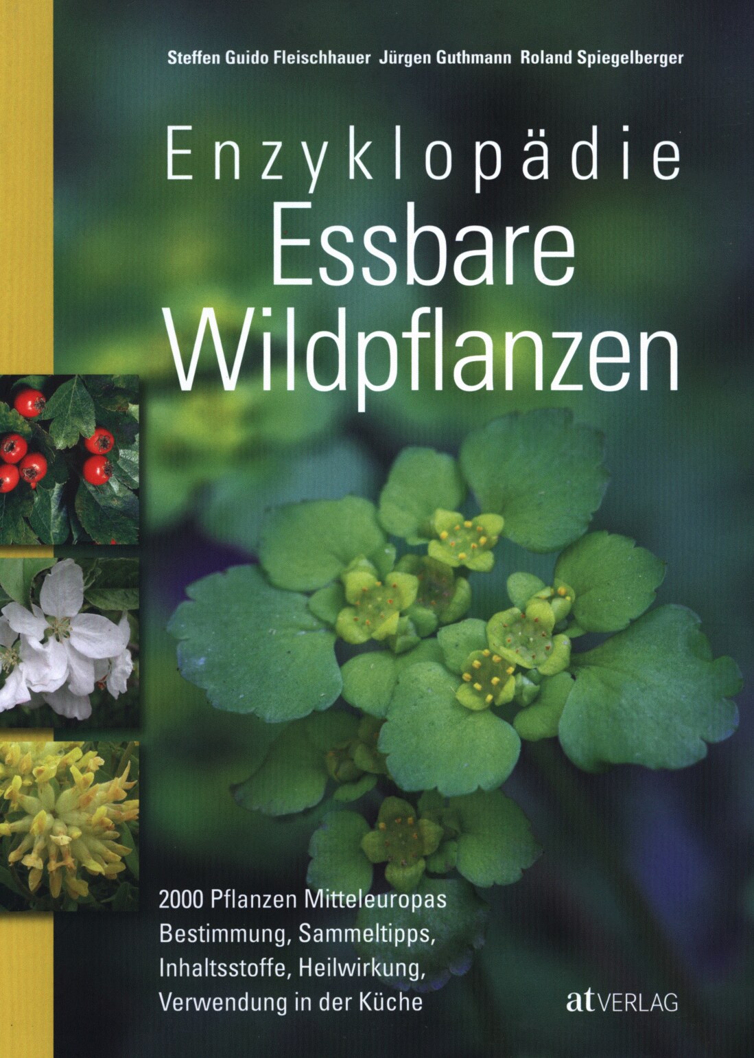 Enzyklopädie Essbare Wildpflanzen: 2000 Pflanzen Mitteleuropas