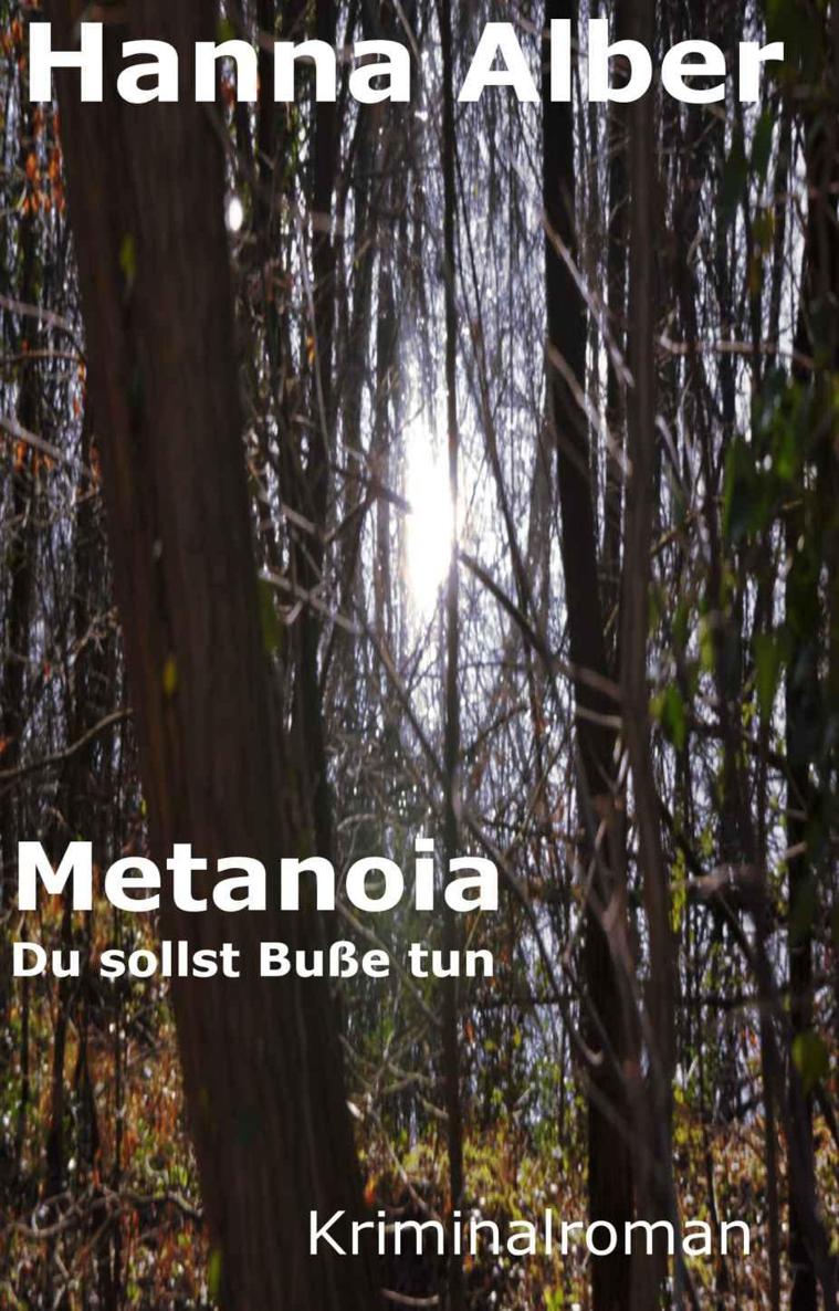 Metanoia - Du sollst Buße tun (Kommissar Pfeifers zweiter Fall)