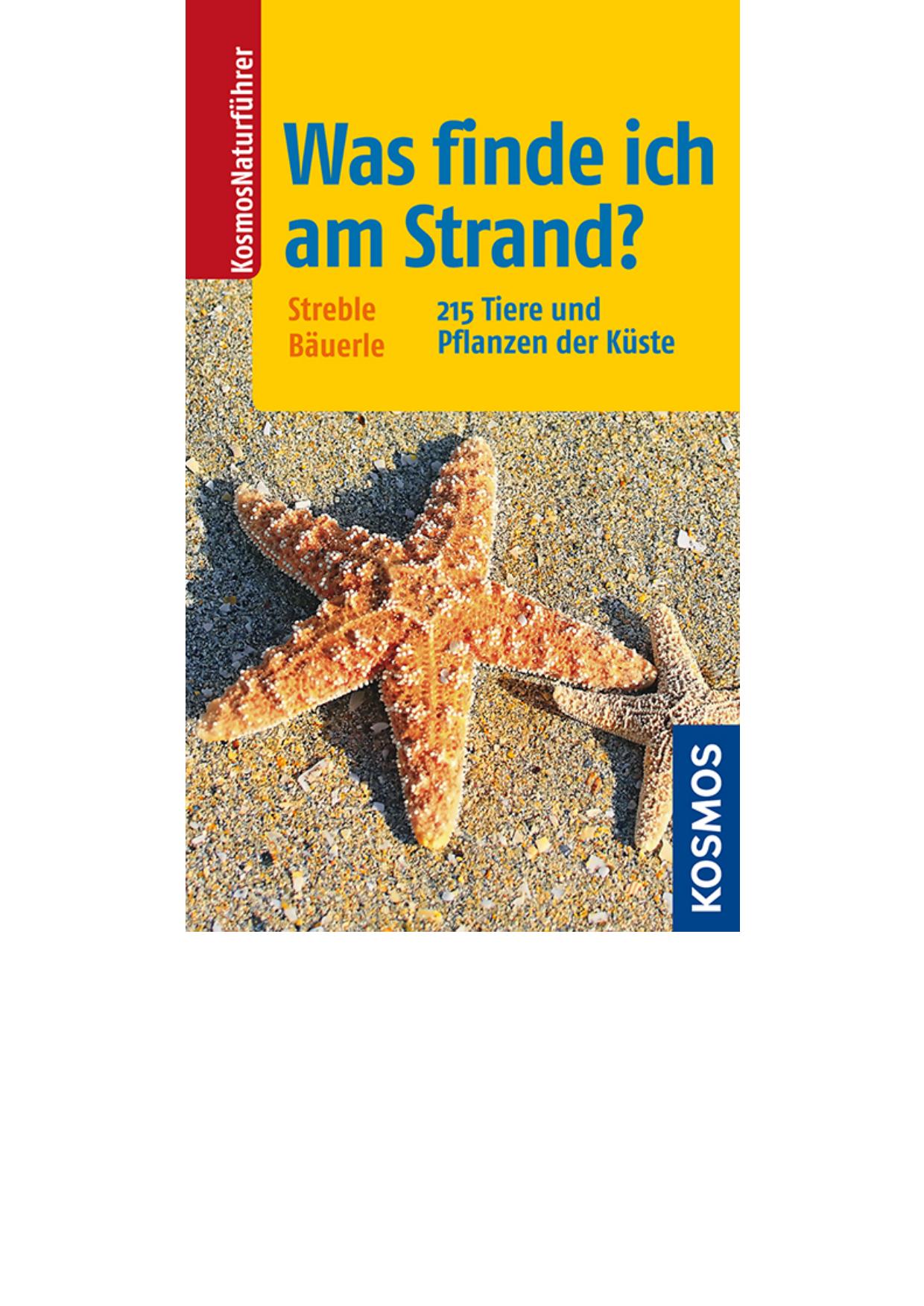 Was finde ich am Strand
