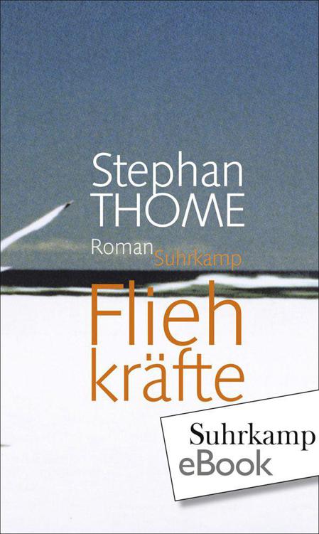 Fliehkräfte (German Edition)